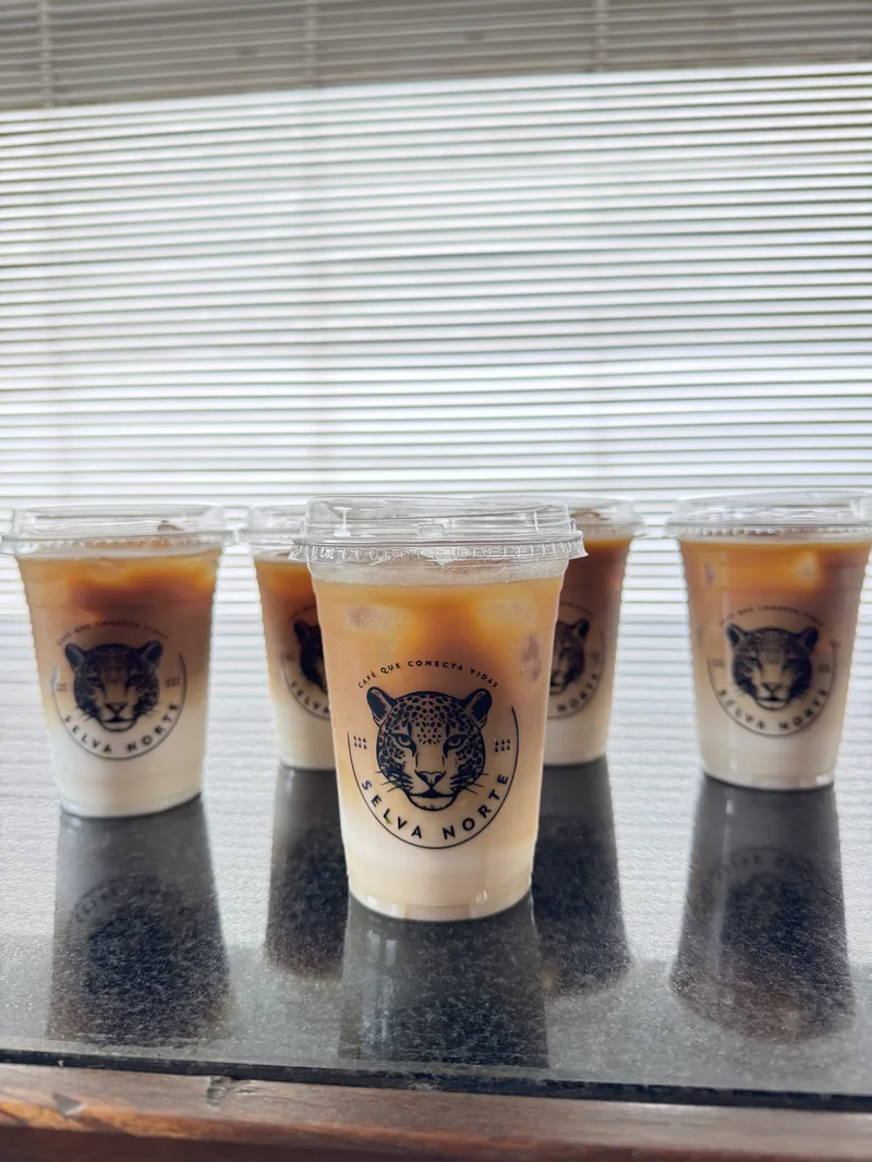 Bebidas Selva Norte