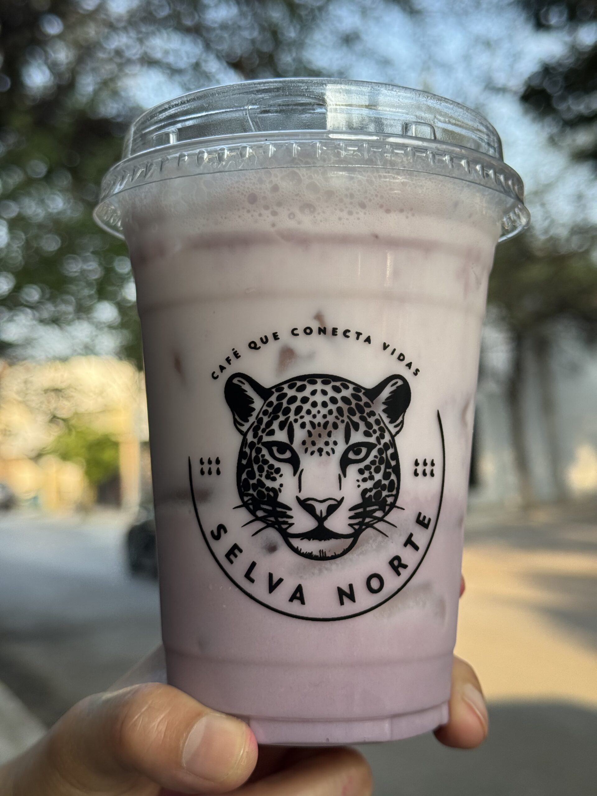 about-01 IMG 7866 Scaled