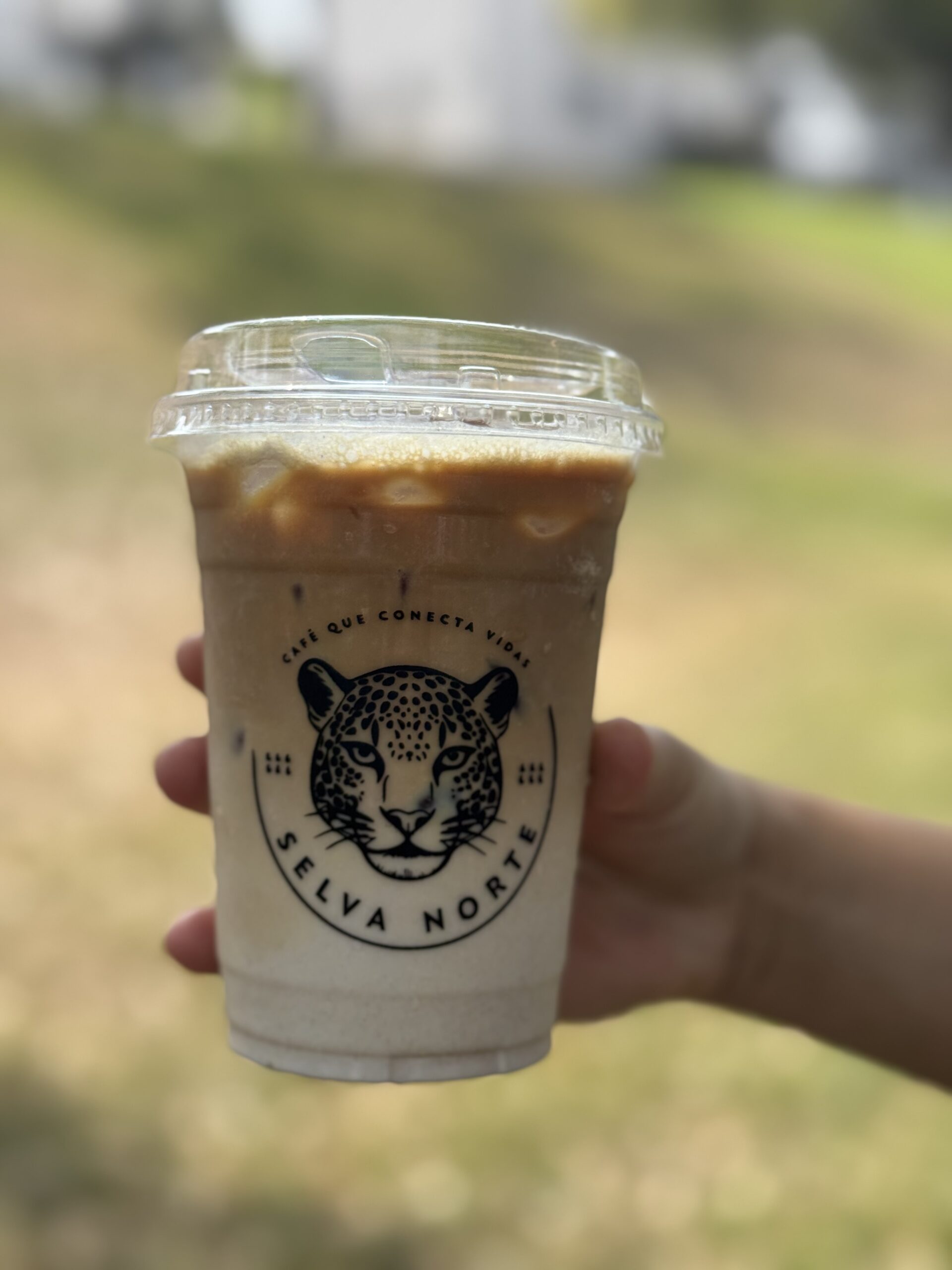 gallery-2 IMG 7888 Scaled