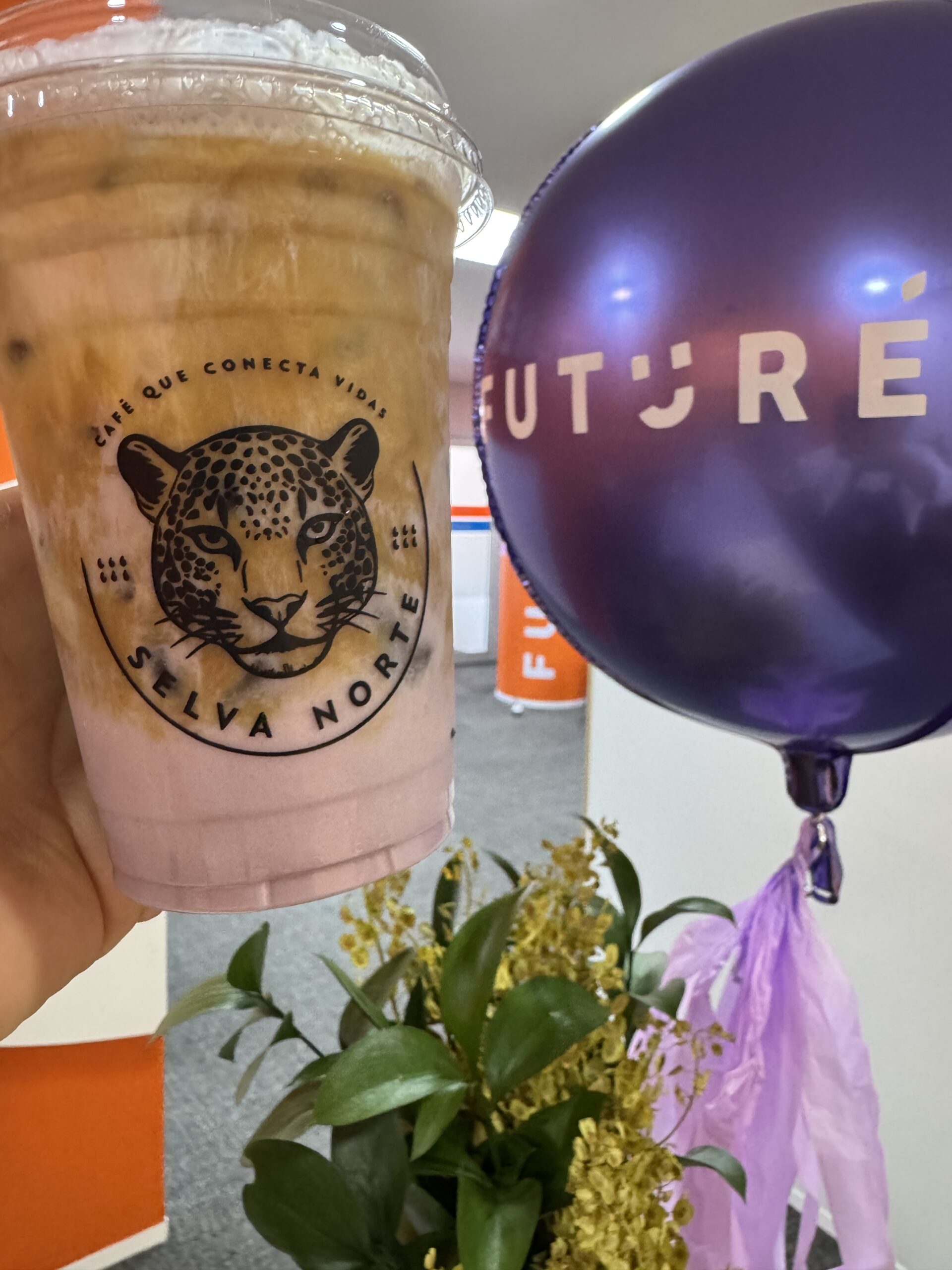 gallery-1 IMG 7921 Scaled